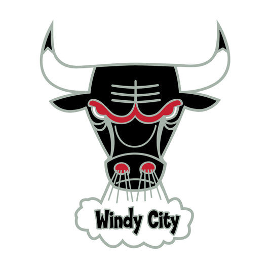 Chicago Bulls Lapel Pin Hwc 1973 - PSGLS0456800